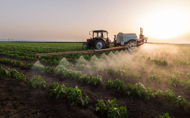 Insect Control in Great Bend, KS