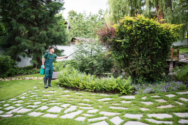 Best Pest Prevention Services  in Great Bend, KS
