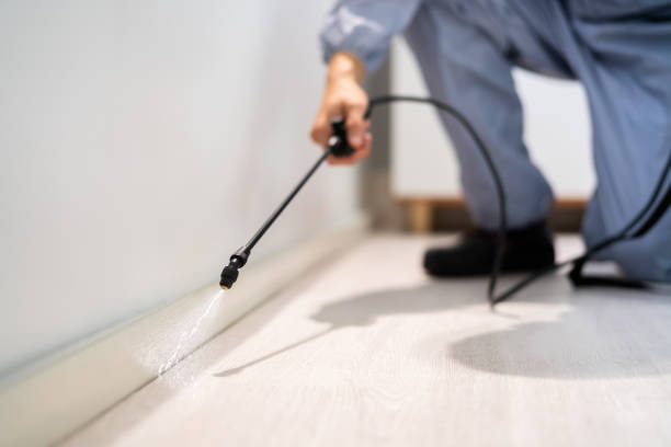 Professional Pest Control in Great Bend, KS