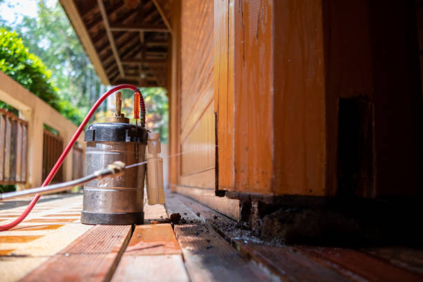 Best Pest Control Treatment  in Great Bend, KS
