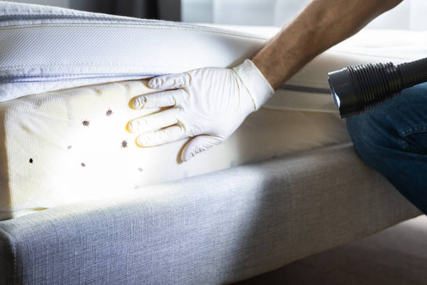 Best Best Pest Control Companies  in Great Bend, KS