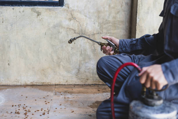 Best Residential Pest Control  in Great Bend, KS