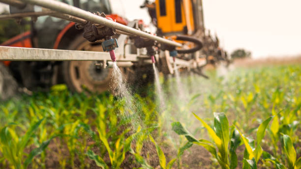 Best Best Pest Control Companies  in Great Bend, KS